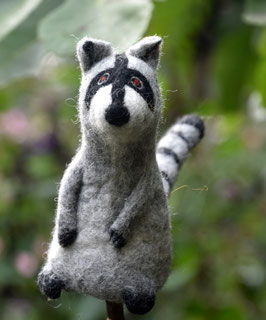 Filzeierwärmer groß Waschbär