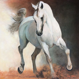 White horse. Basic art Giclee.