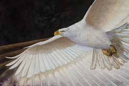 The Great White Eagle. Basic art Giclee.