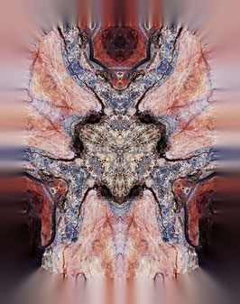 TOTEM