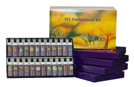 FES Quintessentials, Kalifornische Blütenessenzen, Komplett-Set à 7,5 ml Stockbottles