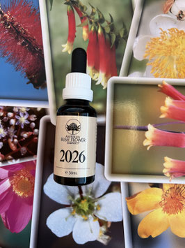 Jahresessenz 2026, Tropfen 30 ml mit Pipette