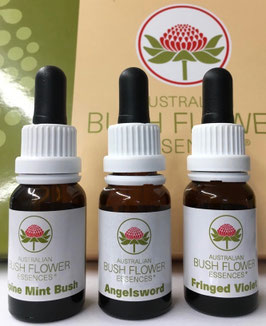 Therapeuten-Mischung, 30 ml, Australische Buschblüten-Essenzen