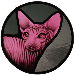 Sphynx kat
