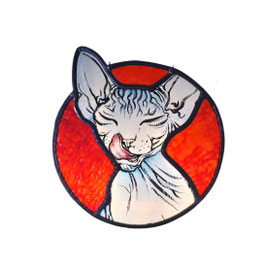 Sphynx kat