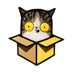 kat in doos