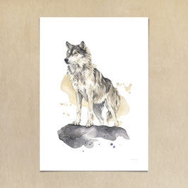 Kunstdruck - Eurasischer Wolf