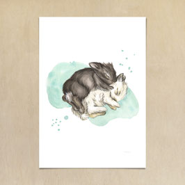 Kunstdruck - Kuschelhasen: Zwei Kaninchen