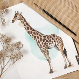 Kunstdruck - Giraffe