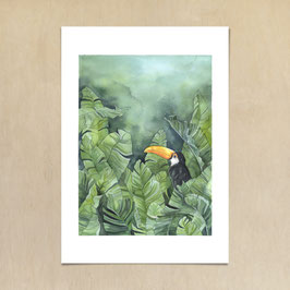 Kunstdruck  -  Tukan im Bananenwald