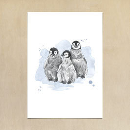 Kunstdruck - Pinguin Babys