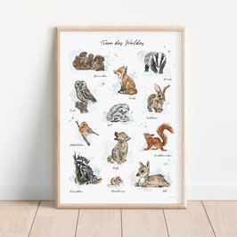 Poster - Tiere des Waldes