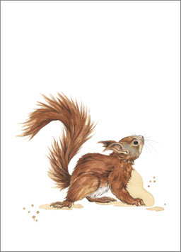 Postkarte Eichhörnchen