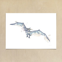 Kunstdruck - Flugsaurier Pterodactylus