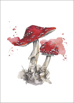 Postkarte Fliegenpilz