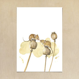 Kunstdruck - Mäuse im Mohn