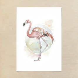 Kunstdruck - Flamingo
