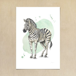 Kunstdruck - Zebra
