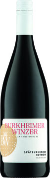 2023er LITERWEINE Spätburgunder Rotwein Qualitätswein