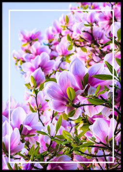 Peach Flowers, Poster con cornice