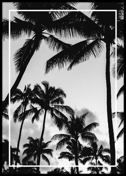 Miami Palms, Poster con cornice
