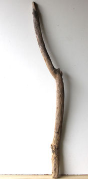 Treibholz Schwemmholz Driftwood 1 XL Ast Dekoration Garten Terrarium 110 cm  (Ä1661)