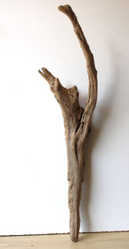 Treibholz Schwemmholz Driftwood  1 XL Wurzel Dekoration Garten Terrarium 81 cm ( SA787)