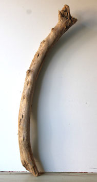 Treibholz Schwemmholz Driftwood 1 XXL Stamm  Dekoration Garten Terrarium 120 cm  (ST495)
