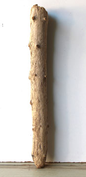 Treibholz Schwemmholz Driftwood 1 Stamm  Dekoration Garten Terrarium 65 cm  (ST502)