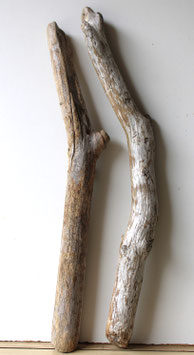 Treibholz Schwemmholz Driftwood 2 XL Hölzer Terrarium Dekoration Garten 74 cm - 77 cm (SA795)