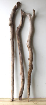 Treibholz Schwemmholz Driftwood 3 XXL Äste  Dekoration Garten Terrarium 120 cm -133 cm lang (Ä1697)