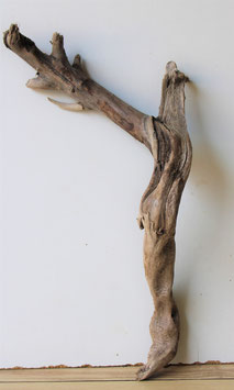 Treibholz Schwemmholz Driftwood 1 Wurzel 42 cm (SA522)