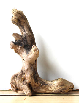 Treibholz Schwemmholz Driftwood  1 kleine  Wurzel  Dekoration Garten Terrarium  15 cm (SA793)