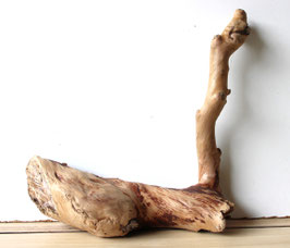 Treibholz Schwemmholz Driftwood 1 Wurzel  Dekoration Terrarium 34 cm hoch  (W614)