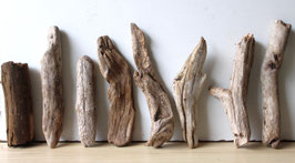 Treibholz Schwemmholz Driftwood  8 Hölzer Dekoration Garten Terrarium 20 cm - 28 cm lang **E189** (TR993)