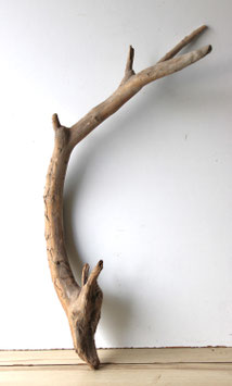 Treibholz Schwemmholz Driftwood 1  XL Wurzel Dekoration Garten Terrarium 86 cm (W713)