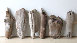 Treibholz Schwemmholz Driftwood 6 Hölzer Dekoration Garten Terrarium 18 cm - 24 cm  **E194** (TR1289)