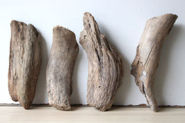 Treibholz Schwemmholz Driftwood 4  Hölzer Dekoration 24 cm - 29 cm **46** (TR944)