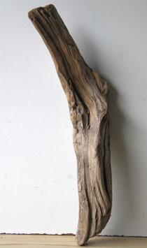 Treibholz Schwemmholz Driftwood  1 Skulptur  Terrarium Garten Dekoration Terrarium  55 cm  (SA884)