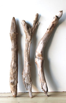 Treibholz Schwemmholz Driftwood 3 XXL Hölzer Dekoration Garten Terrarium  74 cm - 76 cm (TR1231)