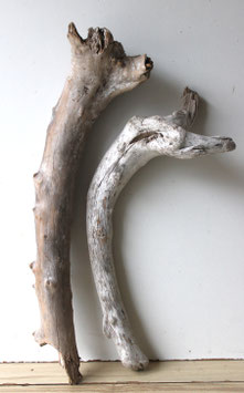 Treibholz Schwemmholz Driftwood  2 XL Hölzer  Dekoration Garten Terrarium 56 cm - 68 cm (TR1240)
