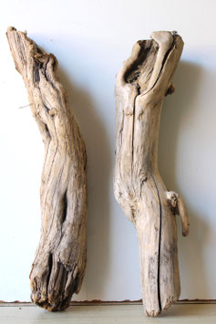 Treibholz Schwemmholz Driftwood  2 XXL    Hölzer Dekoration Terrarium  55 cm - 58 cm (TR1115)