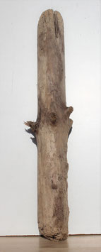 Treibholz Schwemmholz Driftwood   1 XL   Stamm   (ST270)