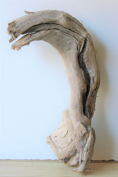 Treibholz Schwemmholz Driftwood   1 XXL Wurzel  70 cm  (W436)