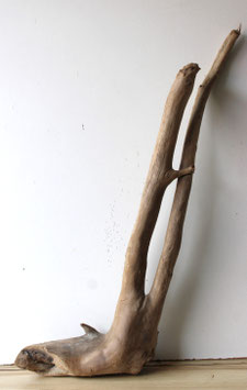 Treibholz Schwemmholz Driftwood  1 knorrige XL  Wurzel 80 cm (W656)