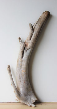 Treibholz Schwemmholz Driftwood  1  XL    Rarität   72  cm lang  (R293)
