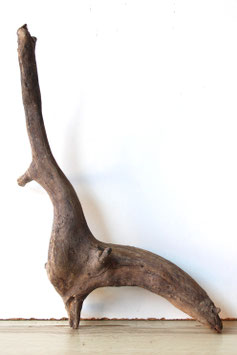Treibholz Schwemmholz Driftwood 1 Wurzel Dekoration Garten Terrarium 41 cm hoch (W844)