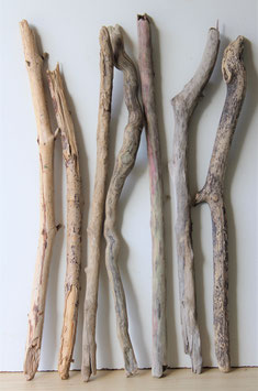 Treibholz Schwemmholz Driftwood  7 XL   Äste   67-77   cm   (Ä1414)