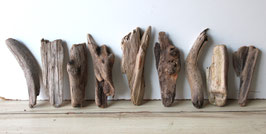 Treibholz Schwemmholz Driftwood 9  Hölzer Garten Terrarium Dekoration Garten 18-27 cm **E27** (TR1229)