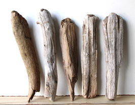Treibholz Schwemmholz Driftwood 5 Hölzer Dekoration Garten Terrarium 36 cm - 40 cm lang **E186** (TR1206)